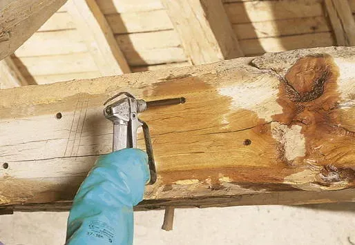Injection de traitement curatif dans une poutre en bois à Fay-aux-Logeswebp